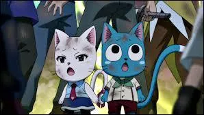 À la base, pour quelle raison les Exceeds, Carla et Happy sont-ils venus sur Terre ?