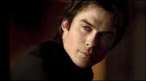 Dans quelle série peut-on voir Damon Salvatore ?