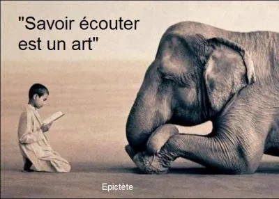 Mon premier refuse, mon deuxième représente une énergie vitale en Asie, mon troisième ne manque pas de peau, mon tout est un mammifère !