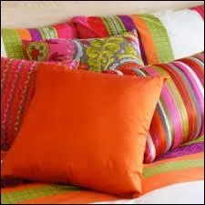 Le coussin fait le confort des canapés et le plaisir des batailles sans danger, mais le coussin est aussi... ?