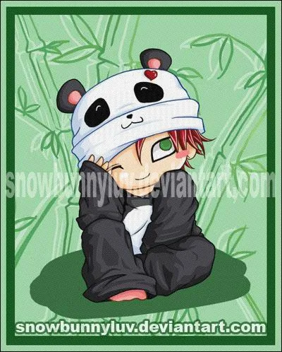 Qui est déguisé en panda ?