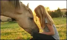 Comment devons-nous approcher un cheval en pâture ?