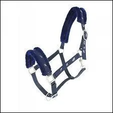 Comment s'appelle cet objet ?