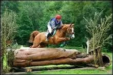 Quel est le nom de cette activité ?