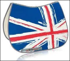 Comment s'appelle cet objet ?