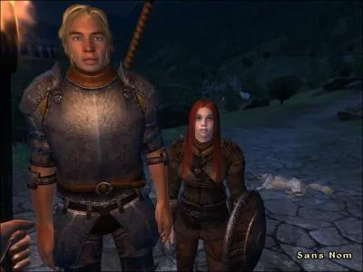 Quelle est l'armure du personnage de gauche ?