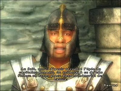 Quelle est cette armure ?