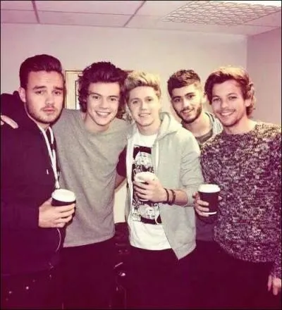 Grâce à quelle émission sont-ils devenus célèbres ?