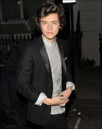 Septembre- Avec quel mannequin anglais Harry Styles vivait-il une romance ce mois-ci ?