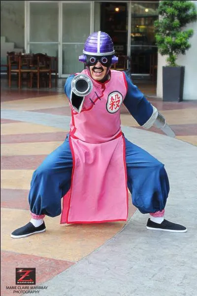 Quel personnage repr&eacute;sente ce cosplay ?