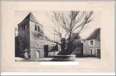 Quel arbre, généralement placé sur la place du village, a donné une expression signifiant que les parties adversaires ne se présentaient pas à l'époque où la justice y était rendue ?