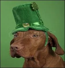 Elle fut longtemps veuve, et se maria avec le seul qui voulut bien la courtiser ! Quelle n'est pas l'expression qui correspond à la situation ?