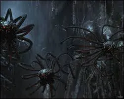 A cause de cela, avec qui s'allie Néo à la fin du film, alors que dans les deux premiers opus, ils étaient ennemis ?