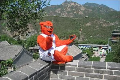 De quelle équipe "Rufus Lynx" était-il la mascotte ?