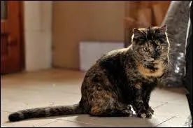 Quelle est cette couleur de pelage ?