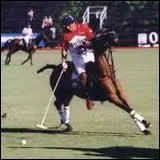 A combien d'équipes le polo se joue-t-il ?