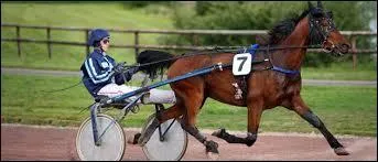 Comment s'appelle la voiture à laquelle les chevaux sont attelés dans le trot attelé ?