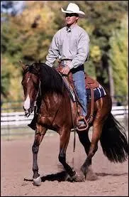 Que porte un cavalier western ?