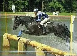 À quelle discipline le cross ressemble-t-il ?