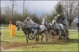 Comment fut reconnu l'attelage ?