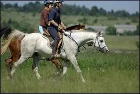 Quelle est la devise du raid d'endurance ?