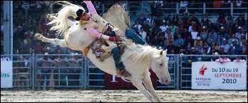 Où s'est déroulé le premier rodéo ?