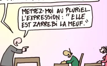 Quiz Grammaire