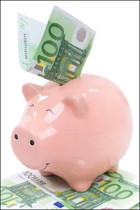 Quel gain financier peut-on espérer faire par an ?