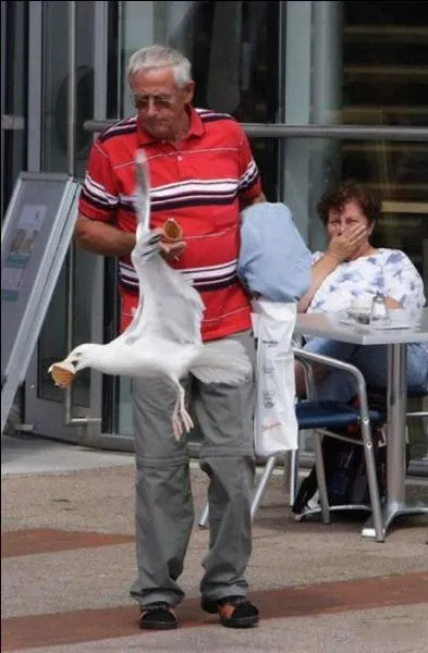 Agrandissez la photo et trouvez la bonne expression !