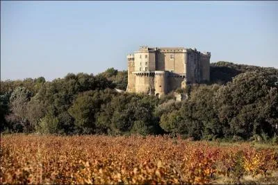 Comment s'appelle ce village de la Drôme qui est dominé par les puissantes tours de son château abritant l'université du Vin ?
