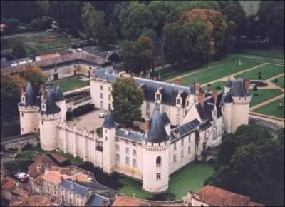 Dans quel département se trouve le bourg de Dissay, possédant un château érigé entre 1481 et 1505, d'architecture gothique tardive, château qui a conservé ses douves et un châtelet d'entrée avec une statue de Saint-Michel ?