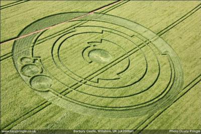 Comment sont appelés ces grands cercles formés dans les champs de blé anglais et dont personne n'a jamais été certain de l'origine ?