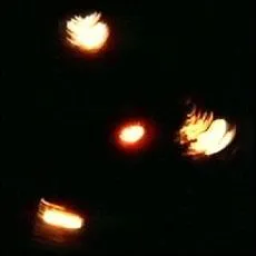 Que représente cette image ?