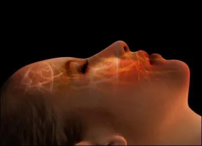 Jusqu'à combien de kilogrammes un homme hypnotisé peut-il supporter sans tressaillir alors même qu'il est étendu sur le sol ?