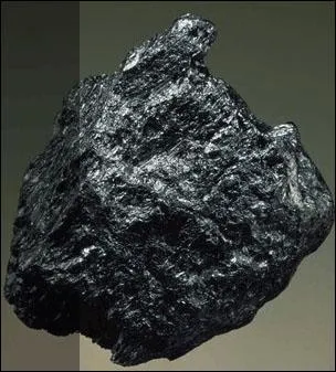 Vrai ou faux : le plomb peut être mortel.