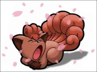 Dans la série animée, quel compagnon de Sacha s'occupe de Goupix ?