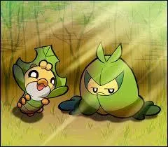 Quel est l'évolution finale de ces petits pokémon ?