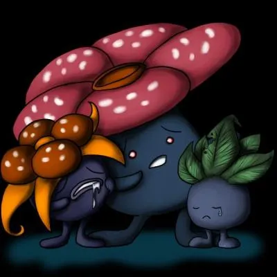 Comment obtient-on un Joliflor ?