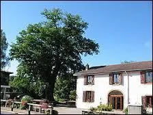 Je vous emmène à Roville-aux-Chênes, village Vosgien connu pour son école d'horticulture et de fleuristerie. Nous serons donc en région ...