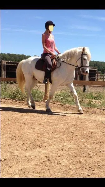 Comment s'appelle cet endroit où les chevaux travaillent à l'extérieur ?