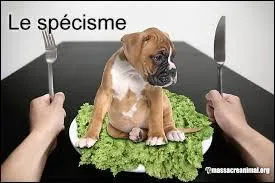 «La cruauté envers les animaux peut devenir violence envers les hommes. »