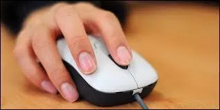 Il est possible de customiser nos vêtements en 2 clics, sur le web.