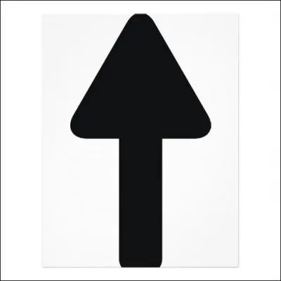 Peut-il être adopté ? (Voir ci-dessus)