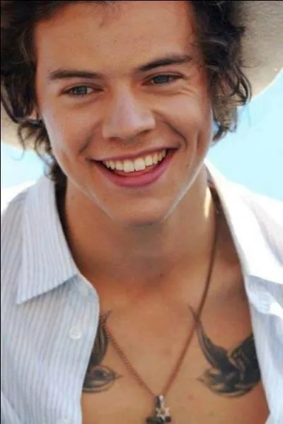 Combien mesure Harry ?