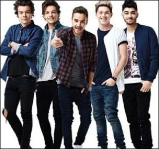 De quel dessin animé sont-ils les ambassadeurs ?