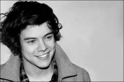 Comment s'appelait le groupe de musique d'Harry ?