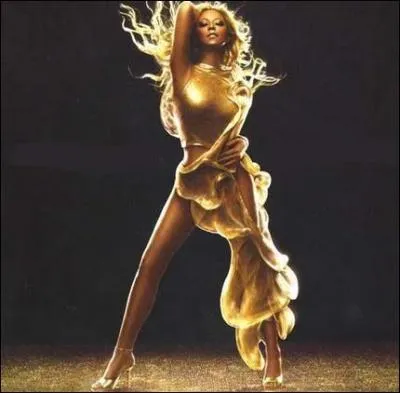 A quel chanteur, ou chanteuse, ou groupe, correspond cette pochette d'album ?