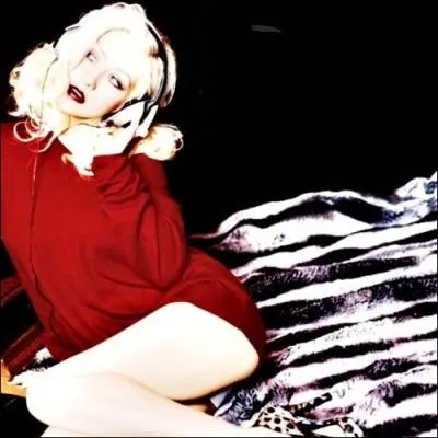 A quel chanteur, ou chanteuse, ou groupe, correspond cette pochette d'album ?