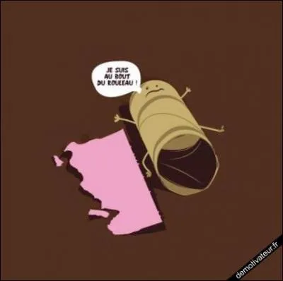 On sait que par extension de sens, « être au bout du rouleau » signifie se sentir épuisé moralement, mais quelle est l'origine de cette expression ?