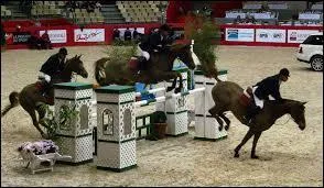 Cette photo correspond-elle aux trois étapes du fonctionnement du saut ?